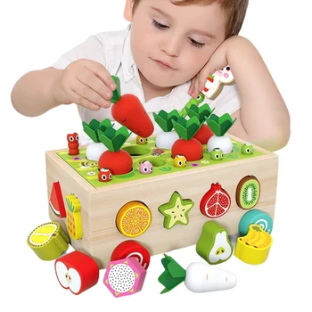 Montessori Žaislus 1-Year-Old Formos Dydis Rūšiavimo Atitikimo Vaisių, Morkų Derliaus Žaidimas Švietimo Žaislas Gimtadienio Dovanos Berniukams 0