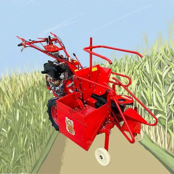 cukriniai kukurūzai kukurūzų koto cutter pjovimo staklės | mašinos, naudojamos kukurūzų derliaus 2